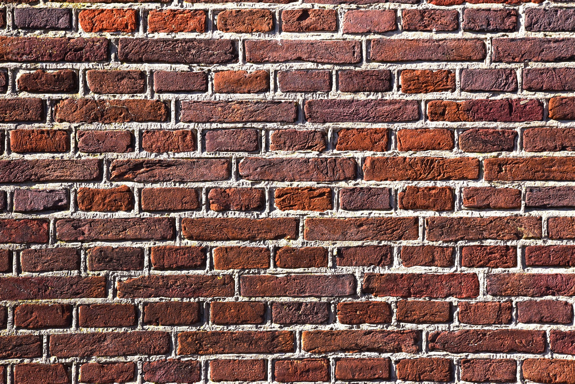 Cork Wall Insulation Board | Natural Sustainable Insulation | Acoustic & Thermal Eco-Friendly Material